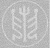 wpe1.gif (3928 字节)